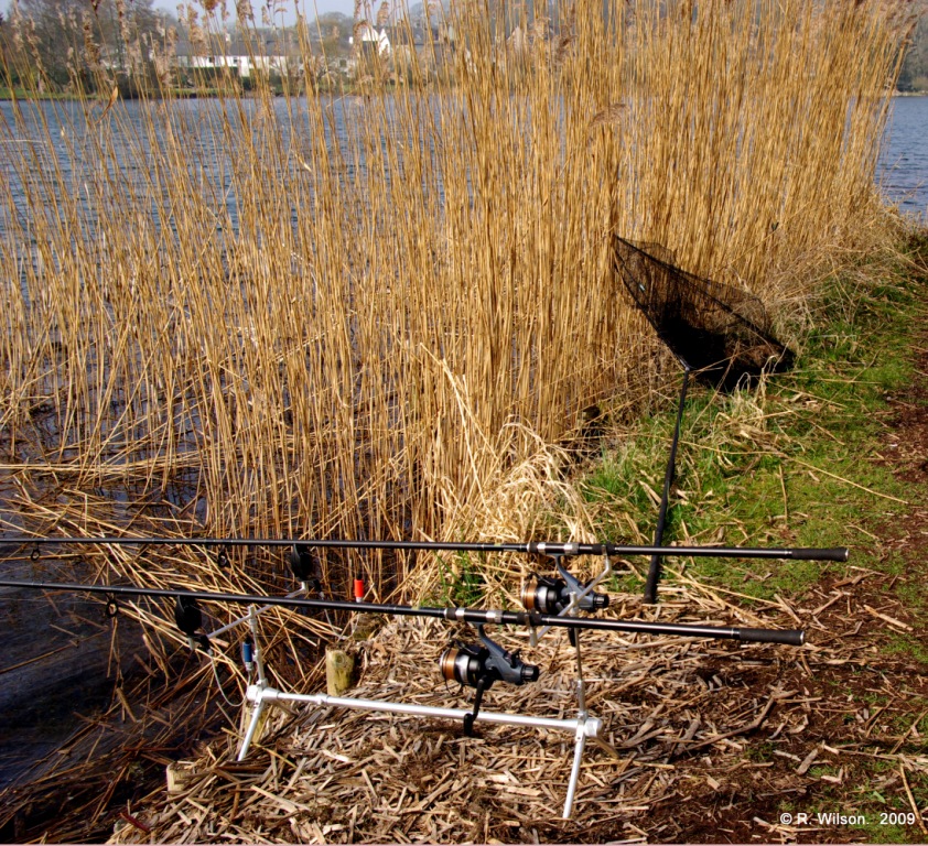 Two rods per permit