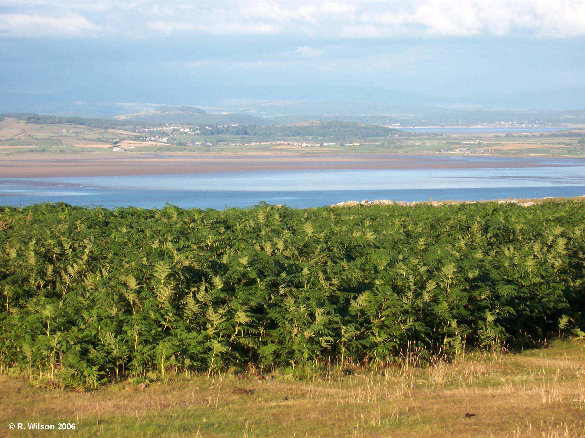 East from Birkrigg Common