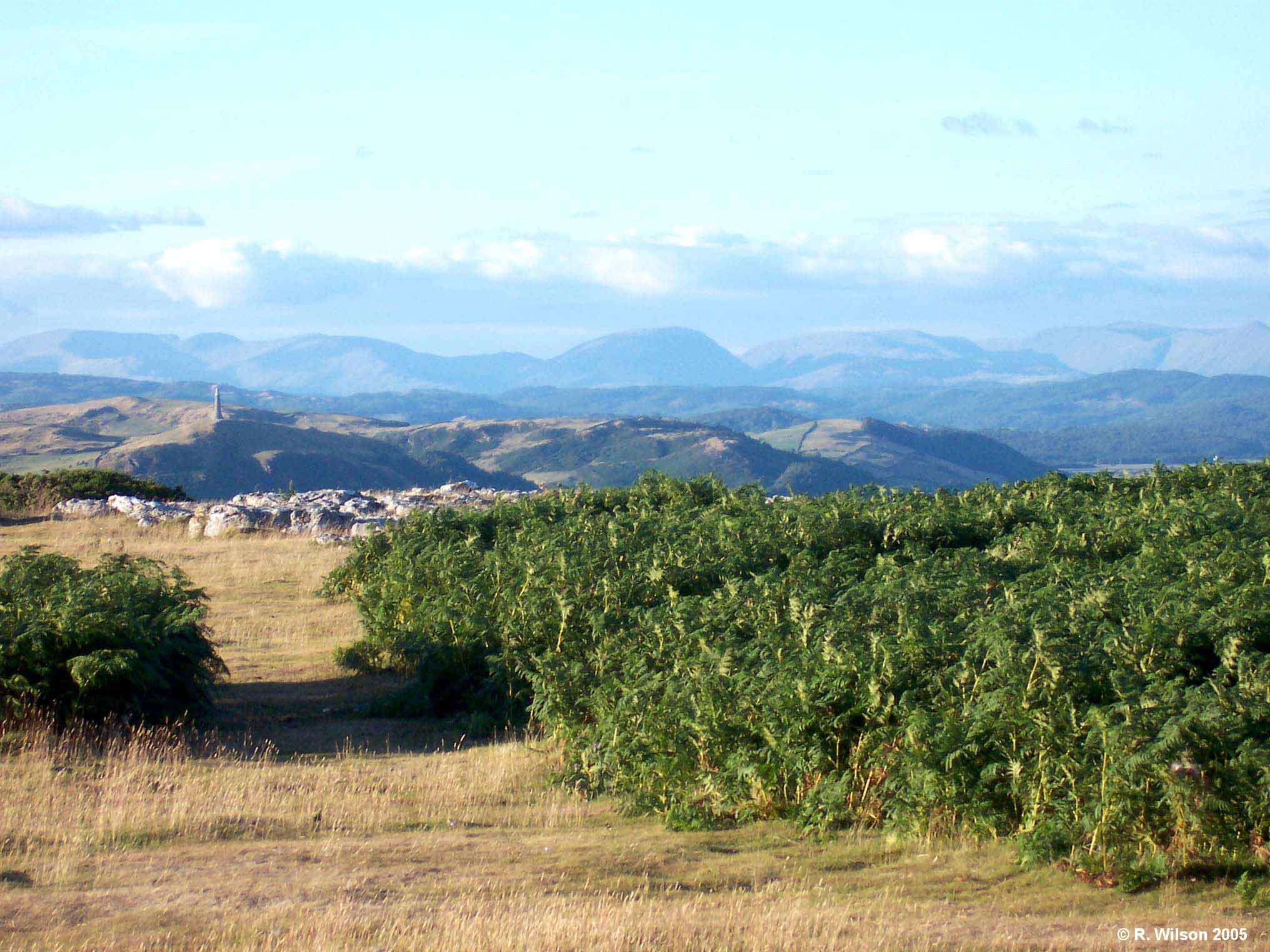 Looking north from Birkrigg Common